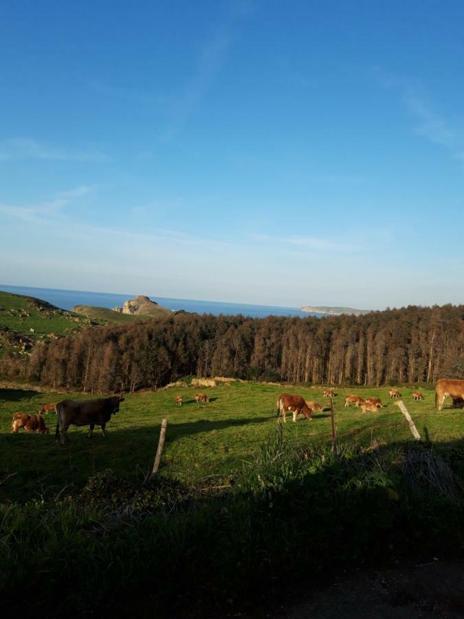 La Torruca Villa Orena Exteriör bild